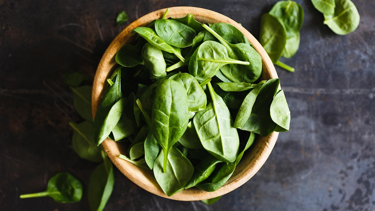 Cómo Afecta la Refrigeración en la Calidad Poscosecha de la Albahaca.png